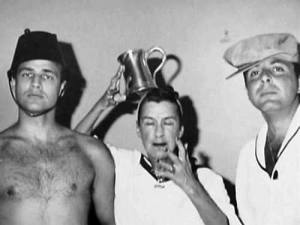 Stewart Bee Lily and Brando